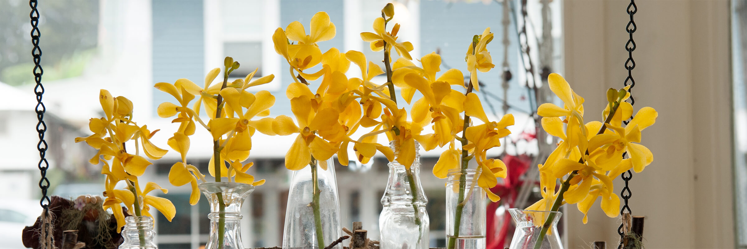 Yellow flowers in glass vases